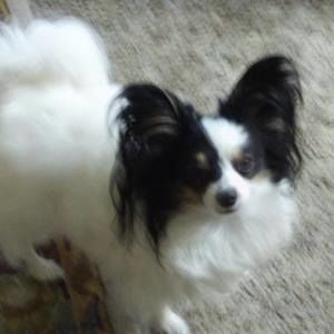 Meet your Posher, Carol